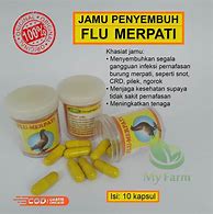 Jamu Burung Merpati Putih