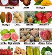 Semua Nama Nama Buah